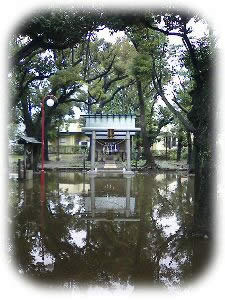 ニッケ鎮守の杜　おりひめ神社 台風ののちお社の写真